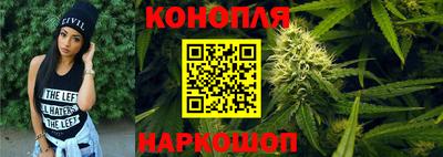 шишки Можайск