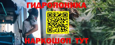 шишки Можайск