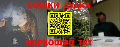шишки Можайск