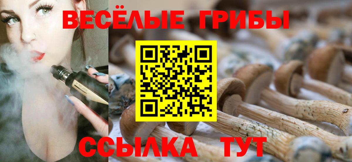 Галлюциногенные грибы MAGIC MUSHROOMS  Вход с VPN  Углич 